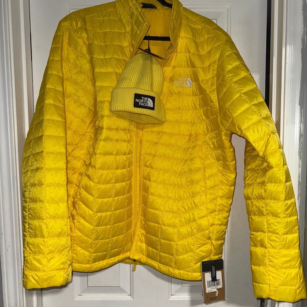 Men Northface